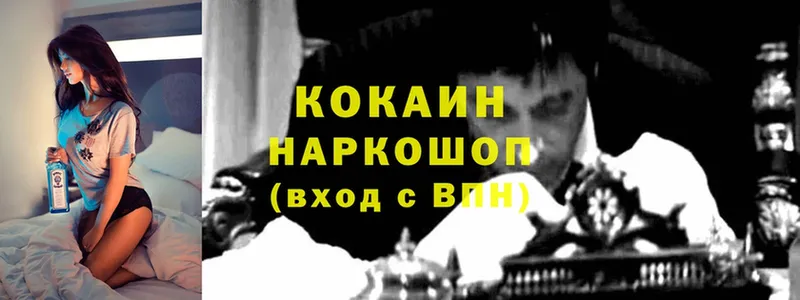 Cocaine FishScale  где найти   Вязники 