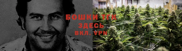 не бодяженный Белокуриха