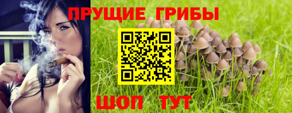 Псилоцибиновые грибы мухоморы  Галлюциногенные грибы GOLDEN TEACHER  Вязники  Вход с VPN 